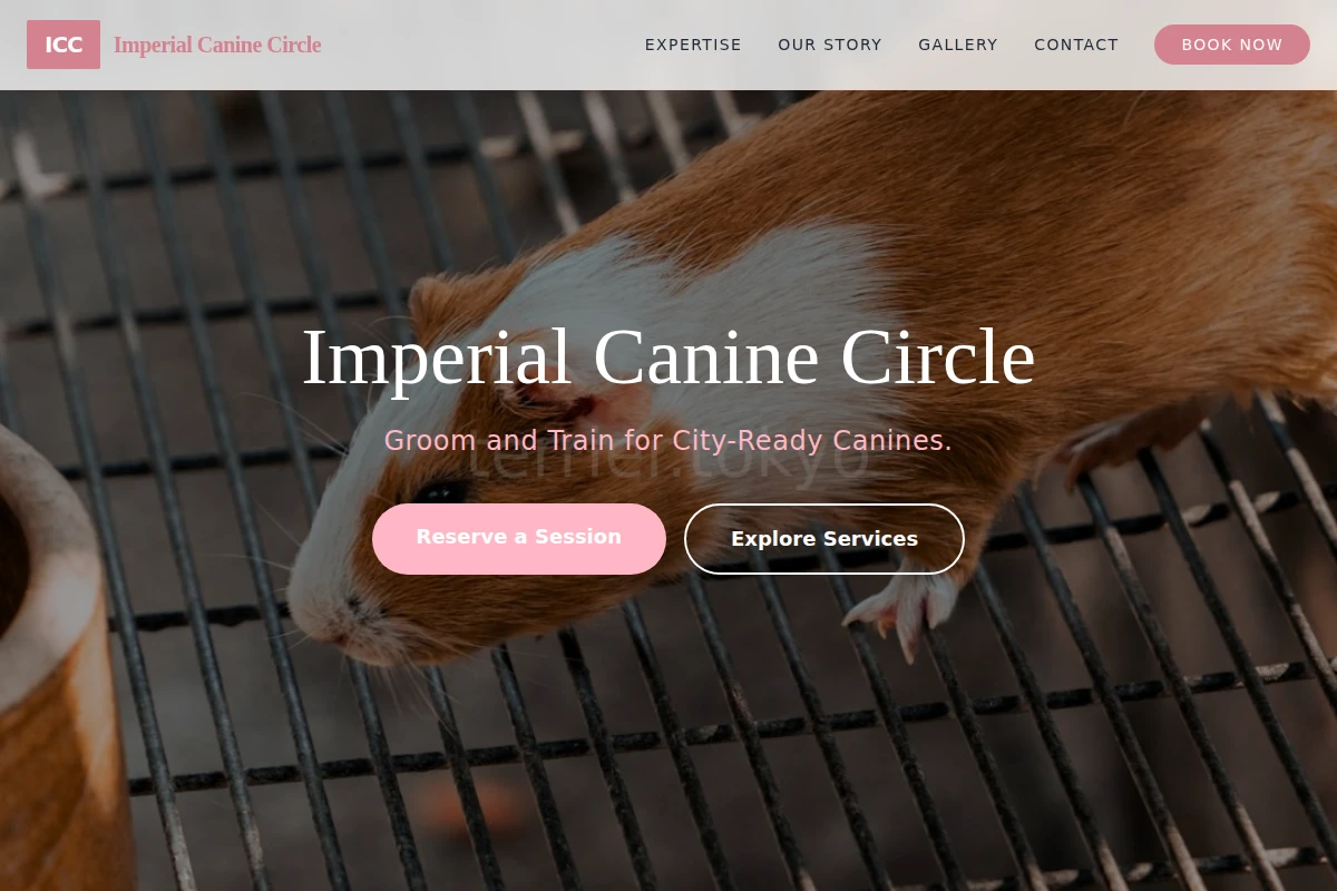 Bed Animal Care