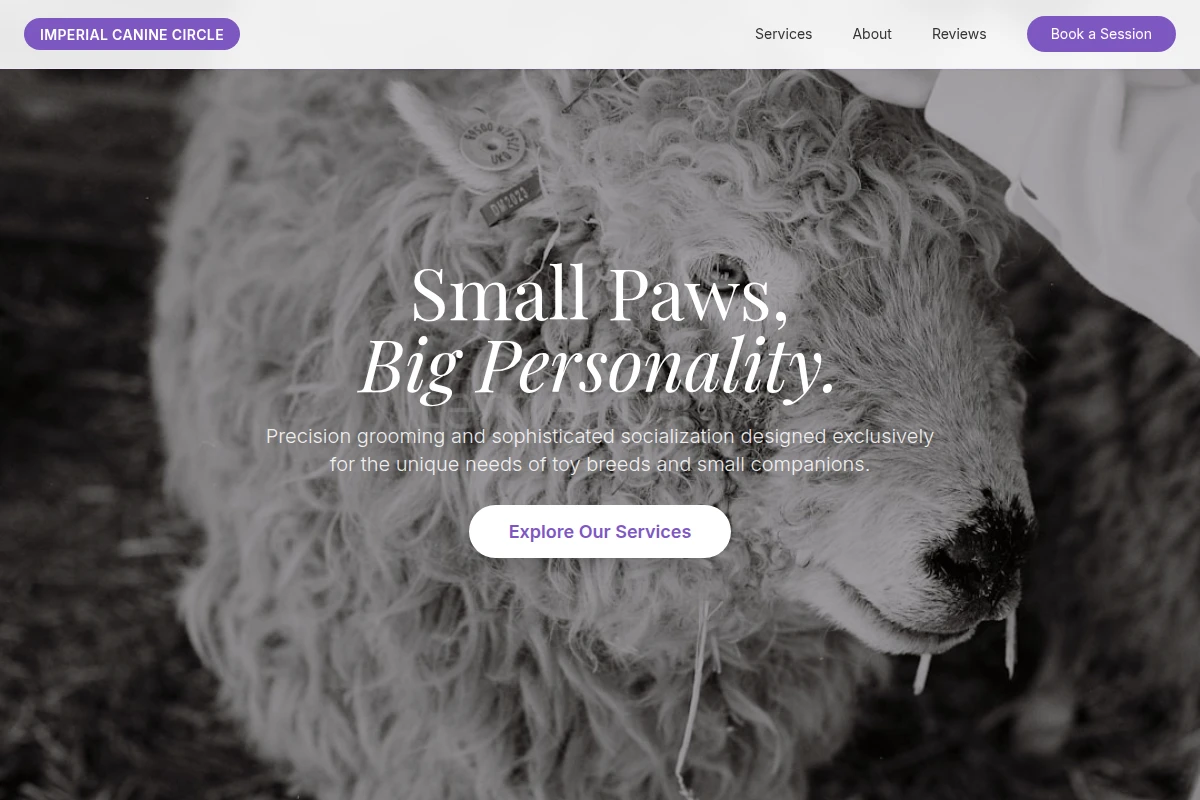 Toy Animal Care