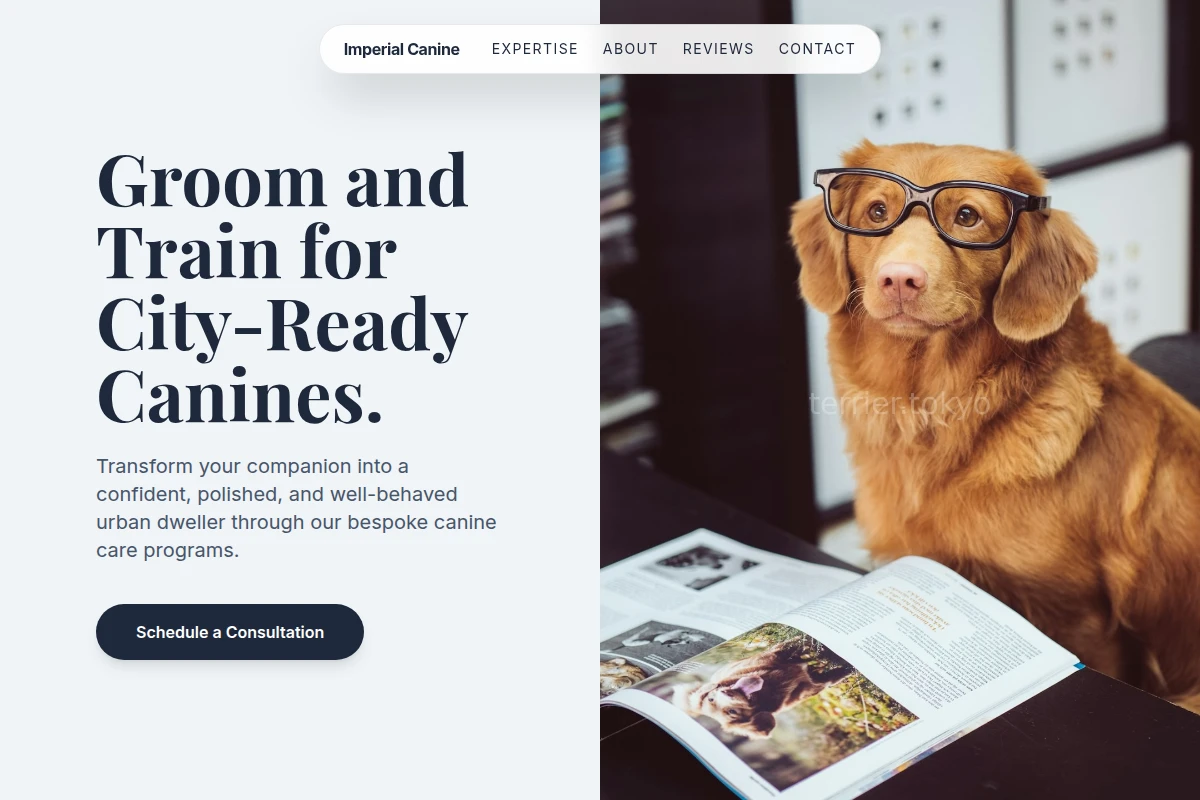 Care Dog Training