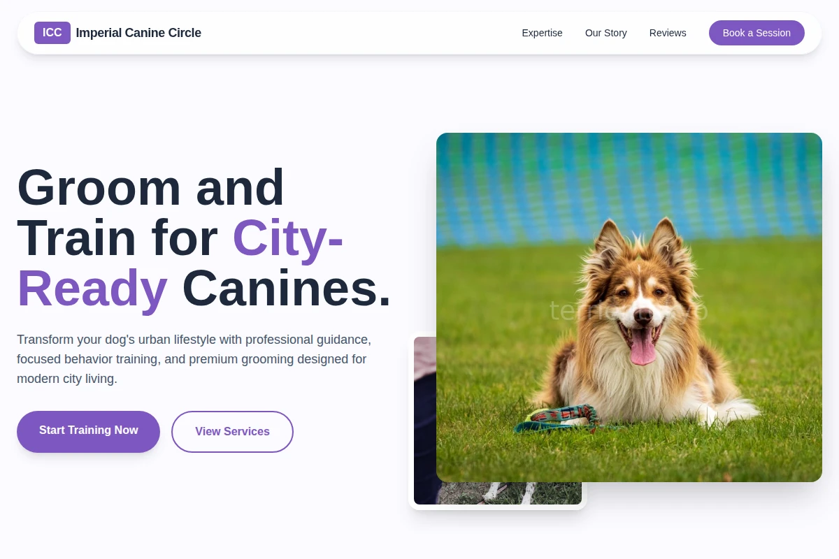 Fetch Dog Training