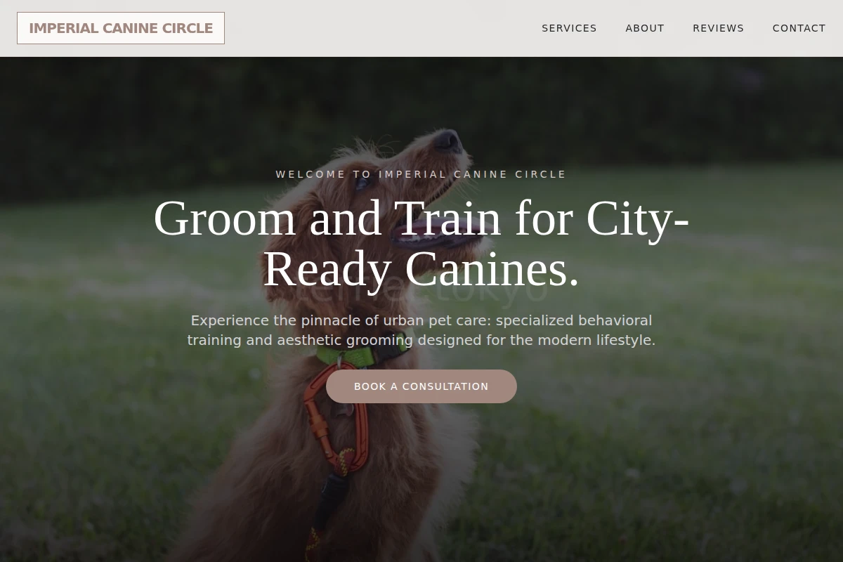 Fetch Dog Training