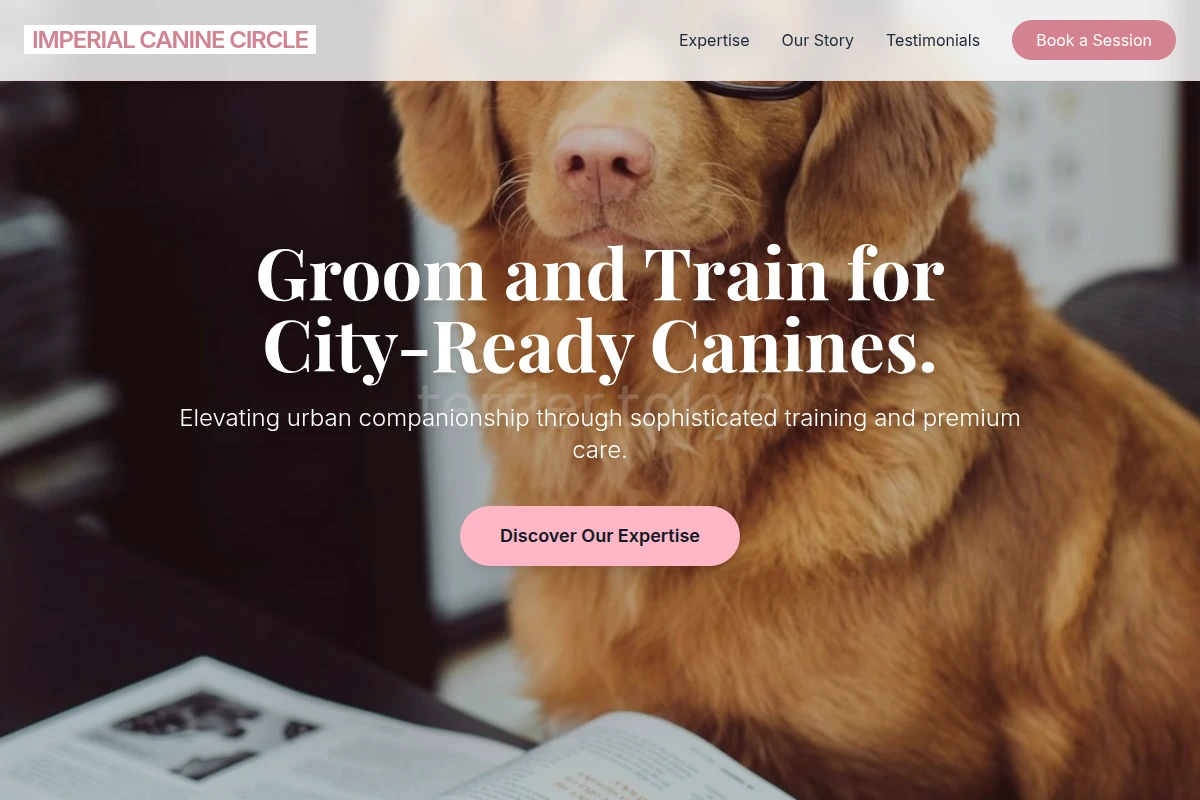 City Dog Training