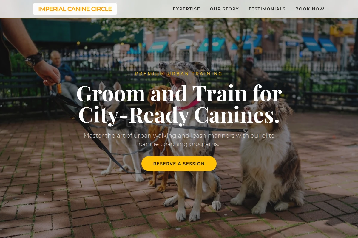 Park Dog Training