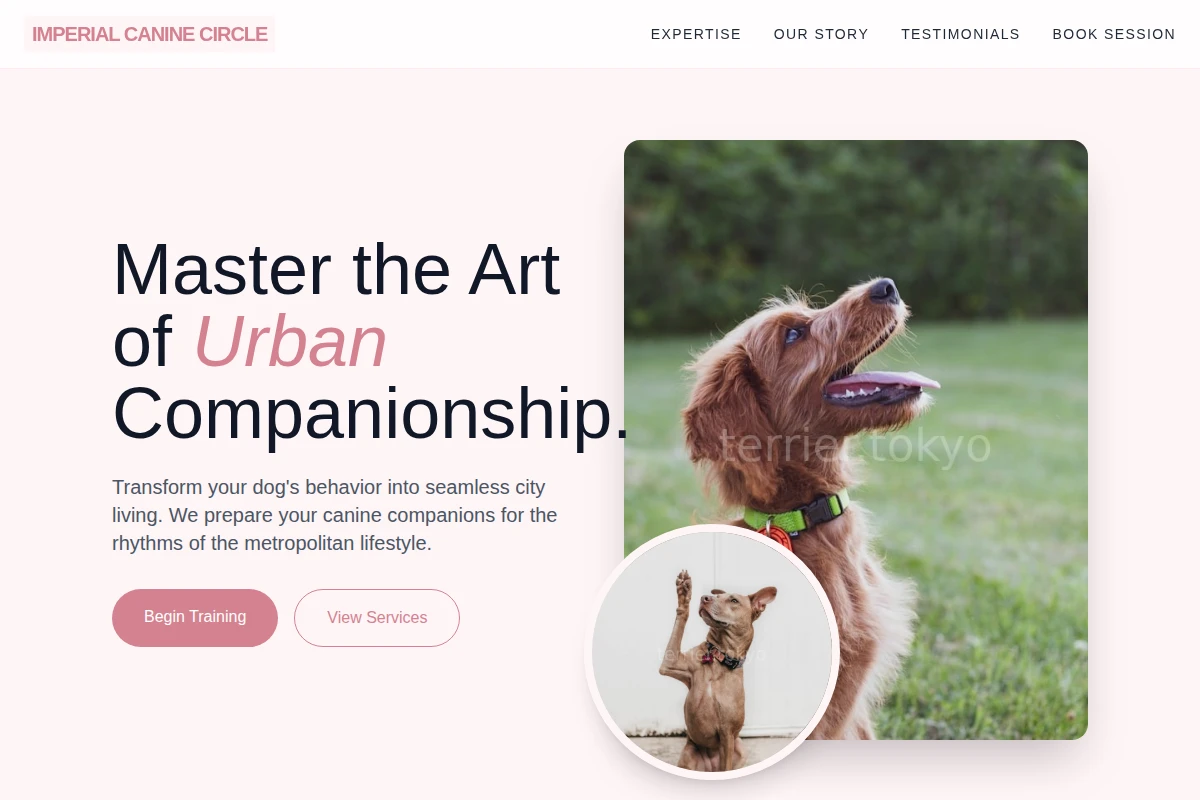 Boutique Dog Training