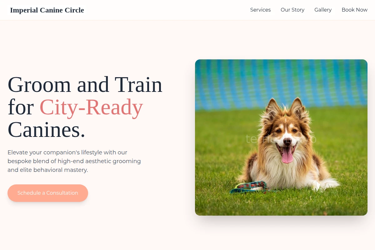 Stylist Dog Training