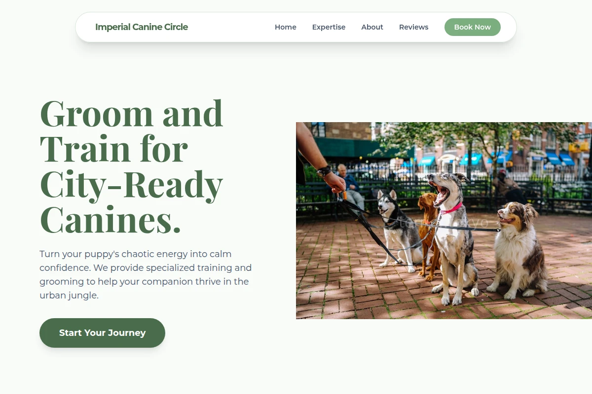 Puppy Dog Training