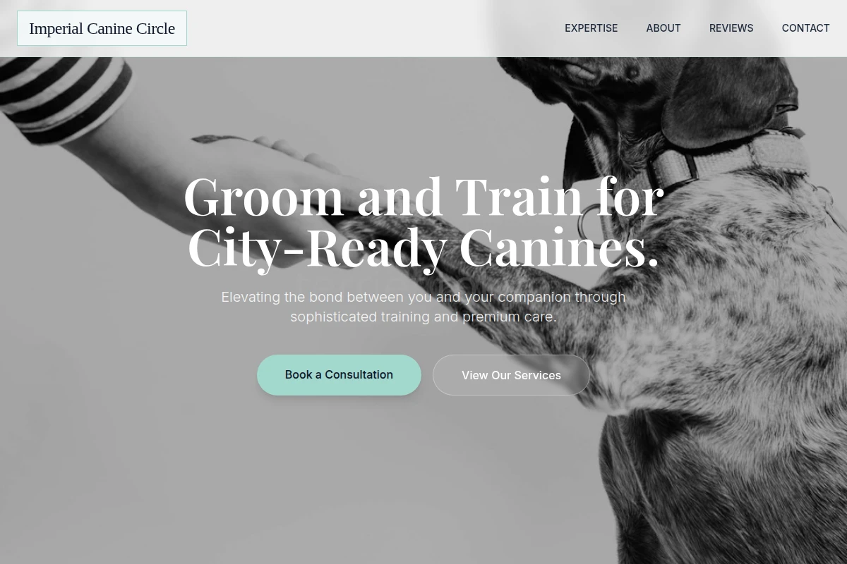 Collar Dog Training