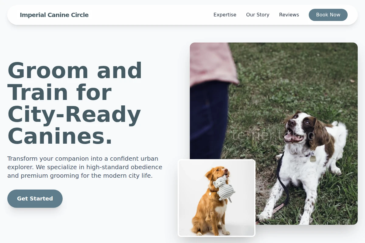 Kennel Dog Training