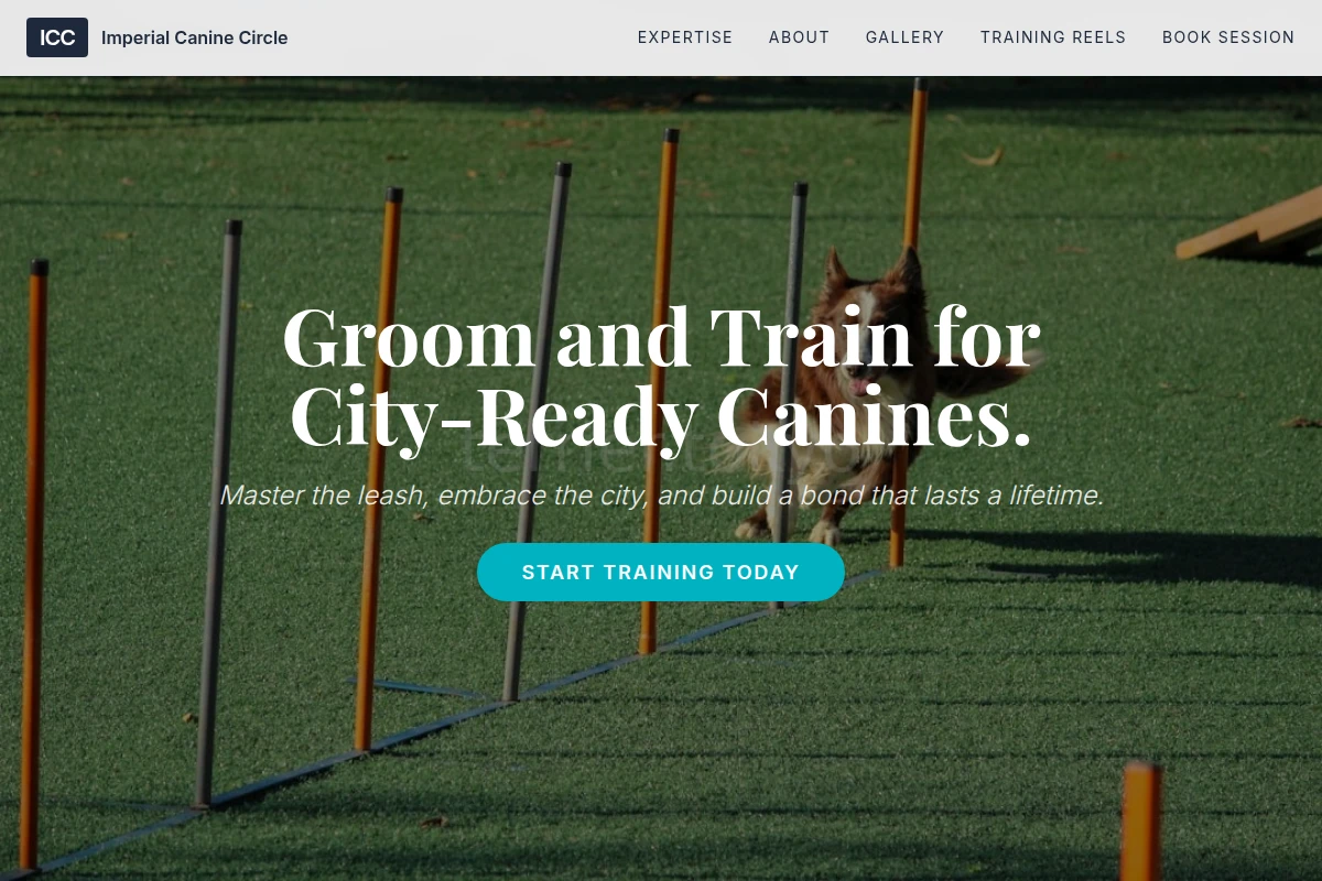 Harness Dog Training