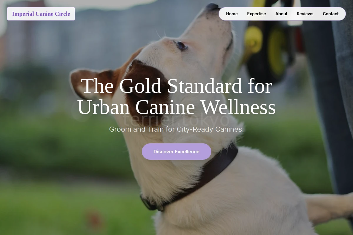 Shampoo Dog Training