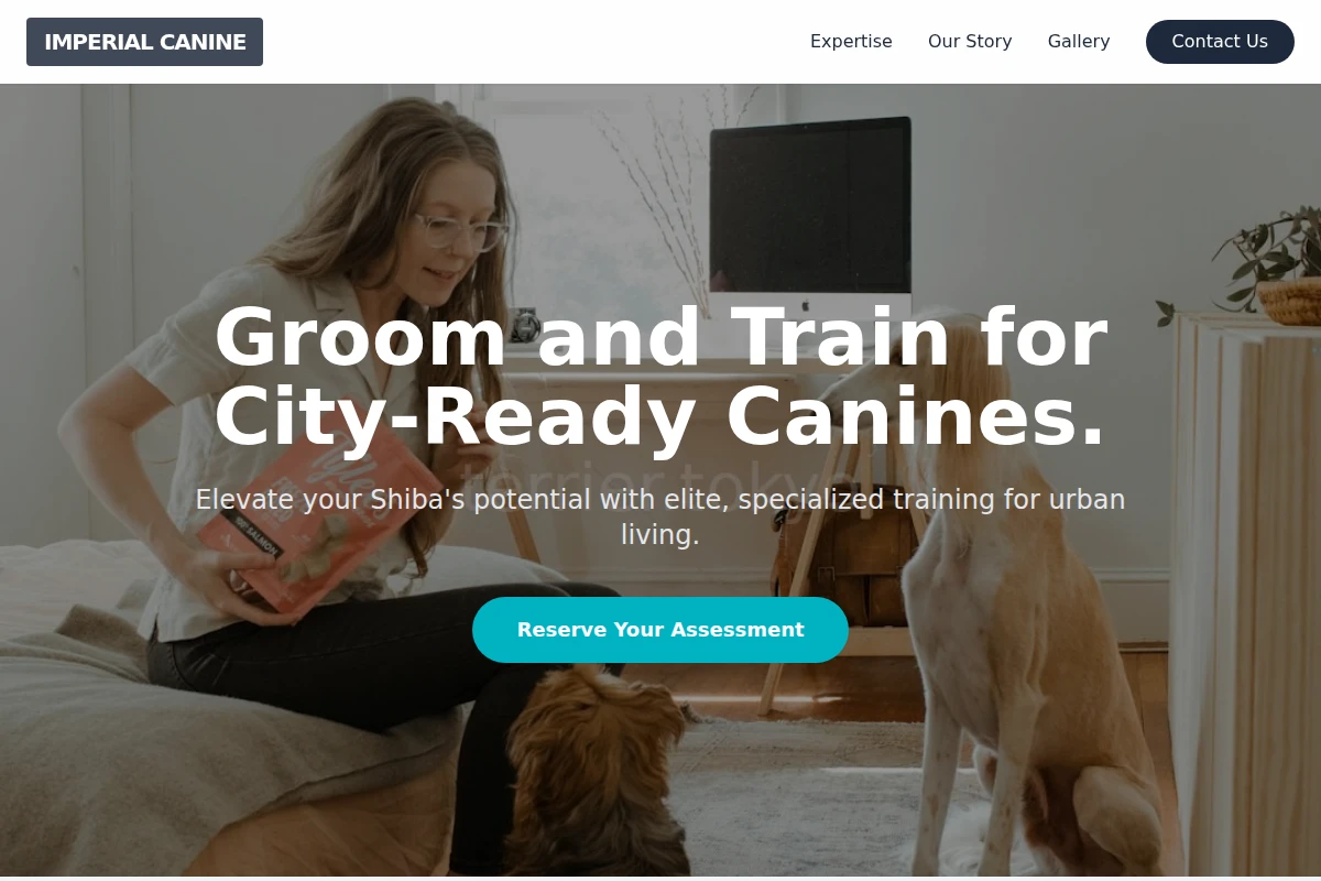 Shiba Dog Training