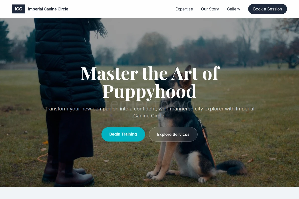 Puppy Dog Training