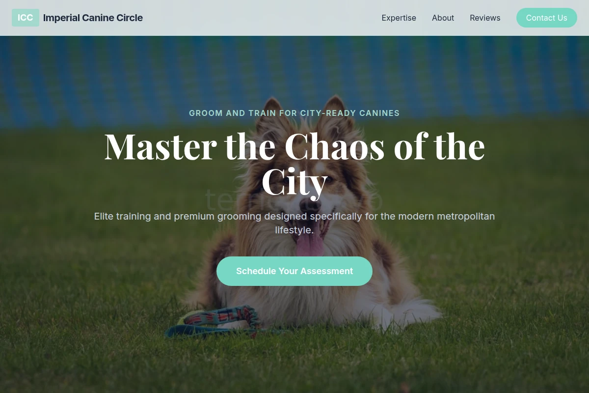 City Dog Training