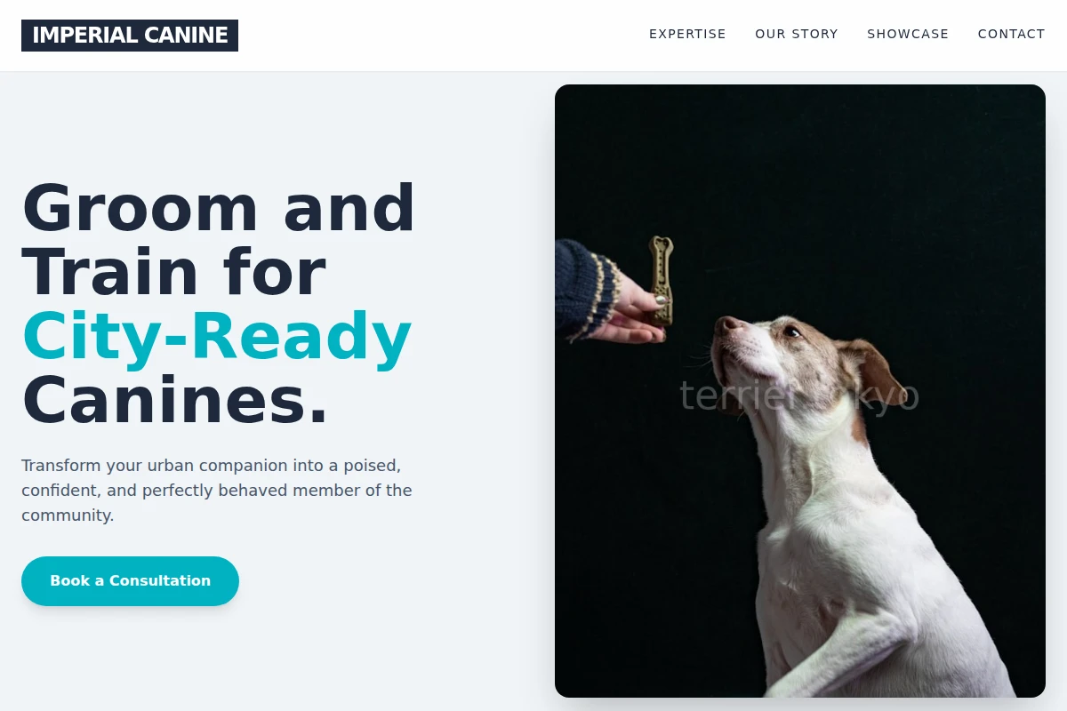 Wag Dog Training