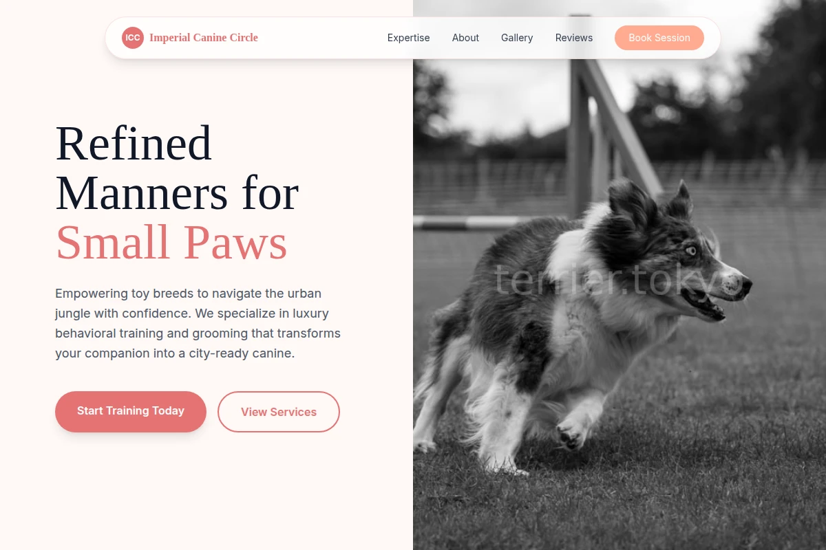 Toy Dog Training