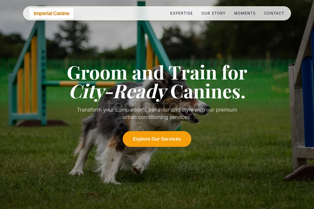 Modern Dog Training