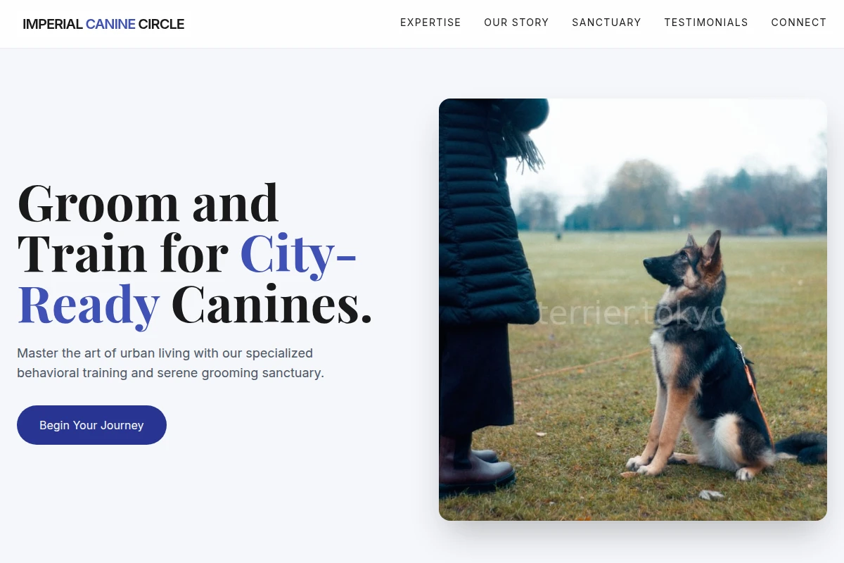 Zen Dog Training