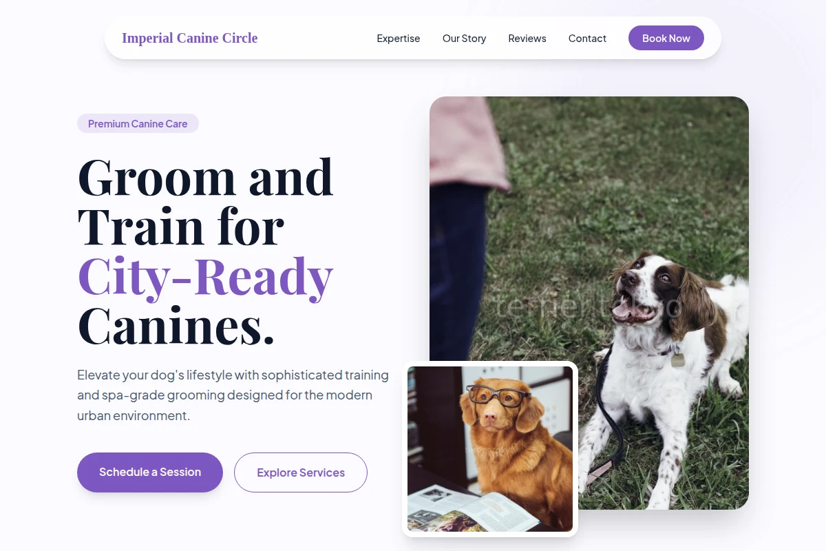 Groom Dog Training