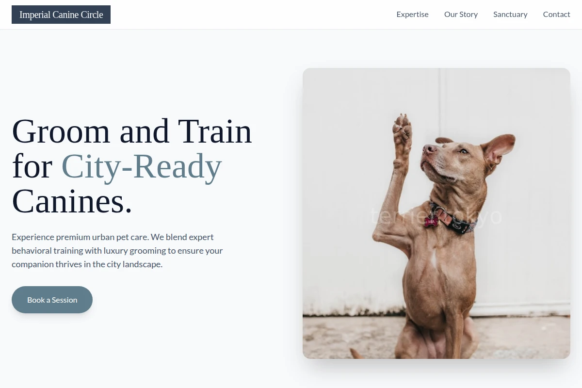 Brush Dog Training