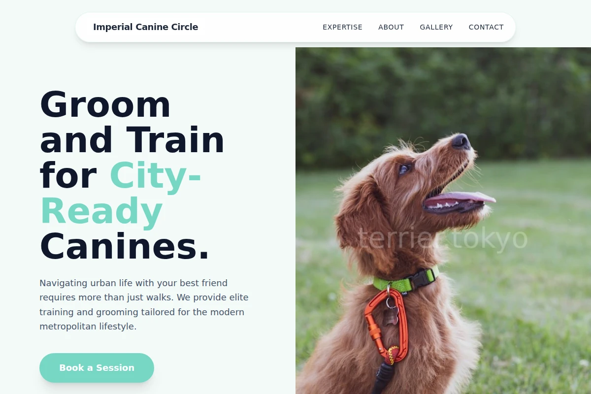 Urban Dog Training