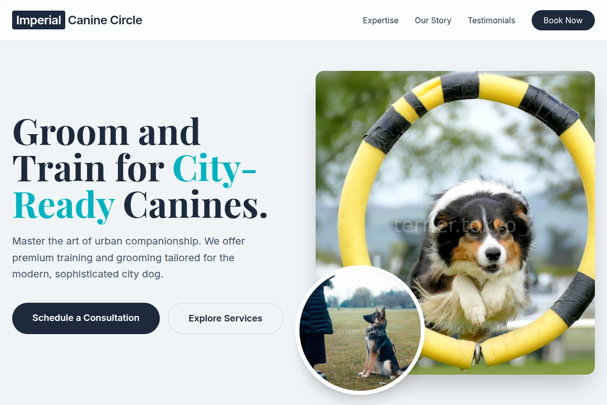 Minimalist Dog Training
