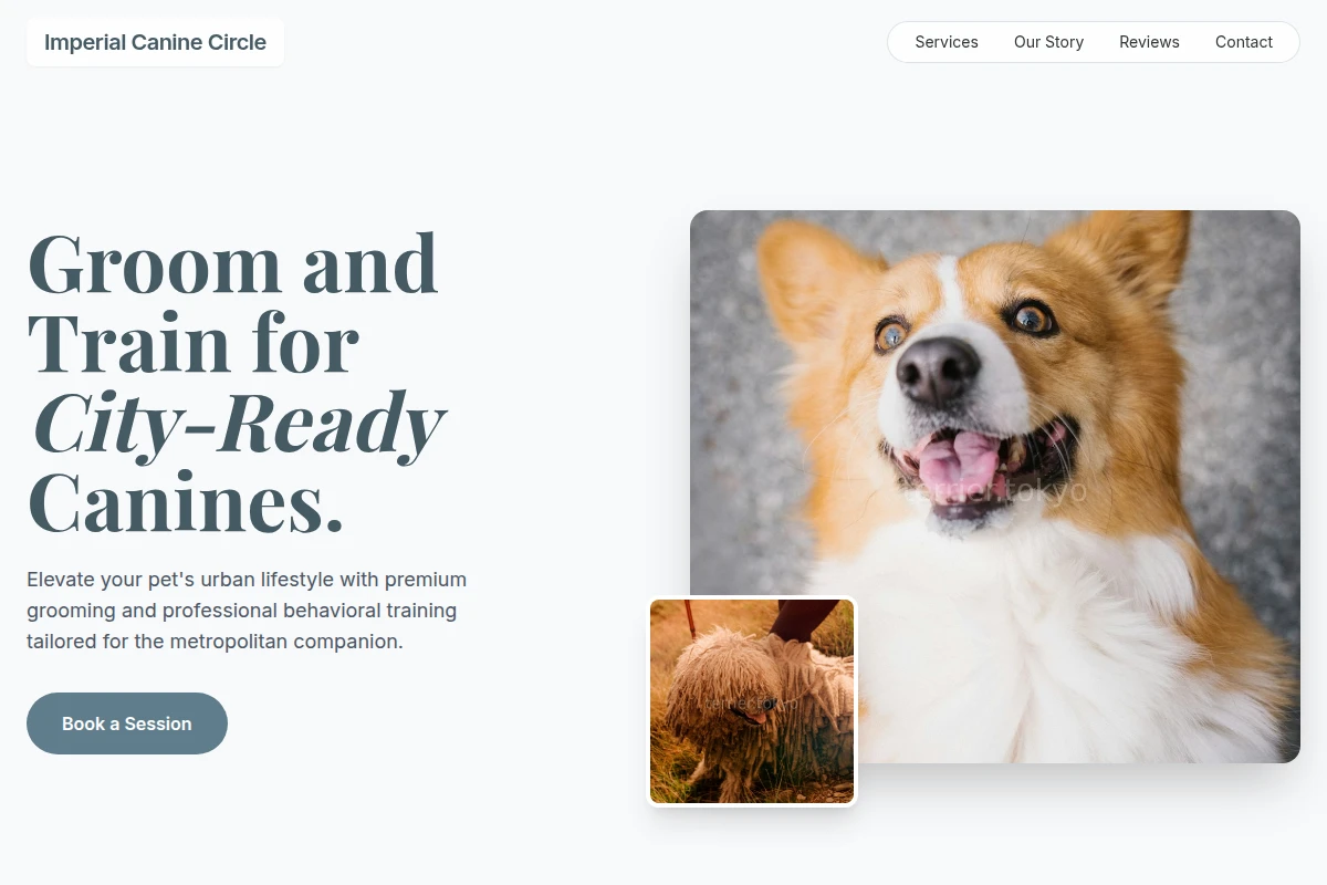 Metro Pet Services