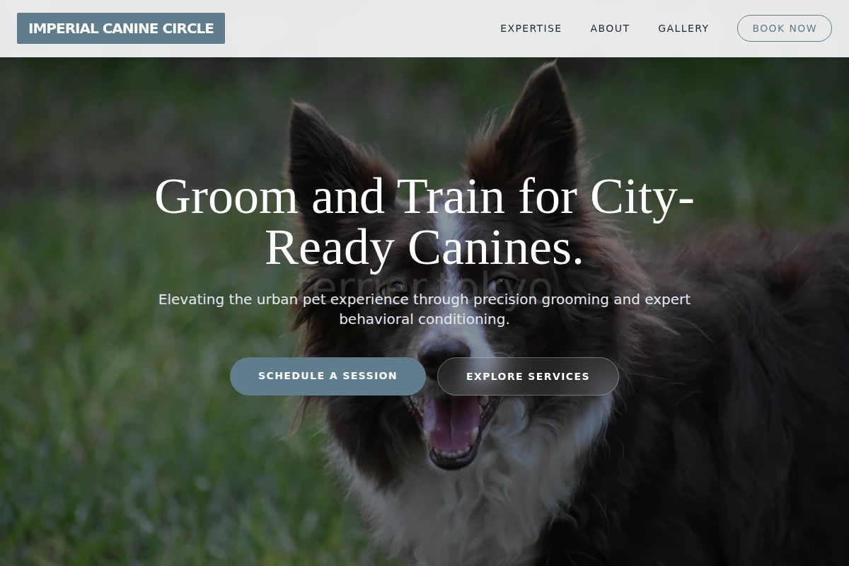 Modern Pet Services