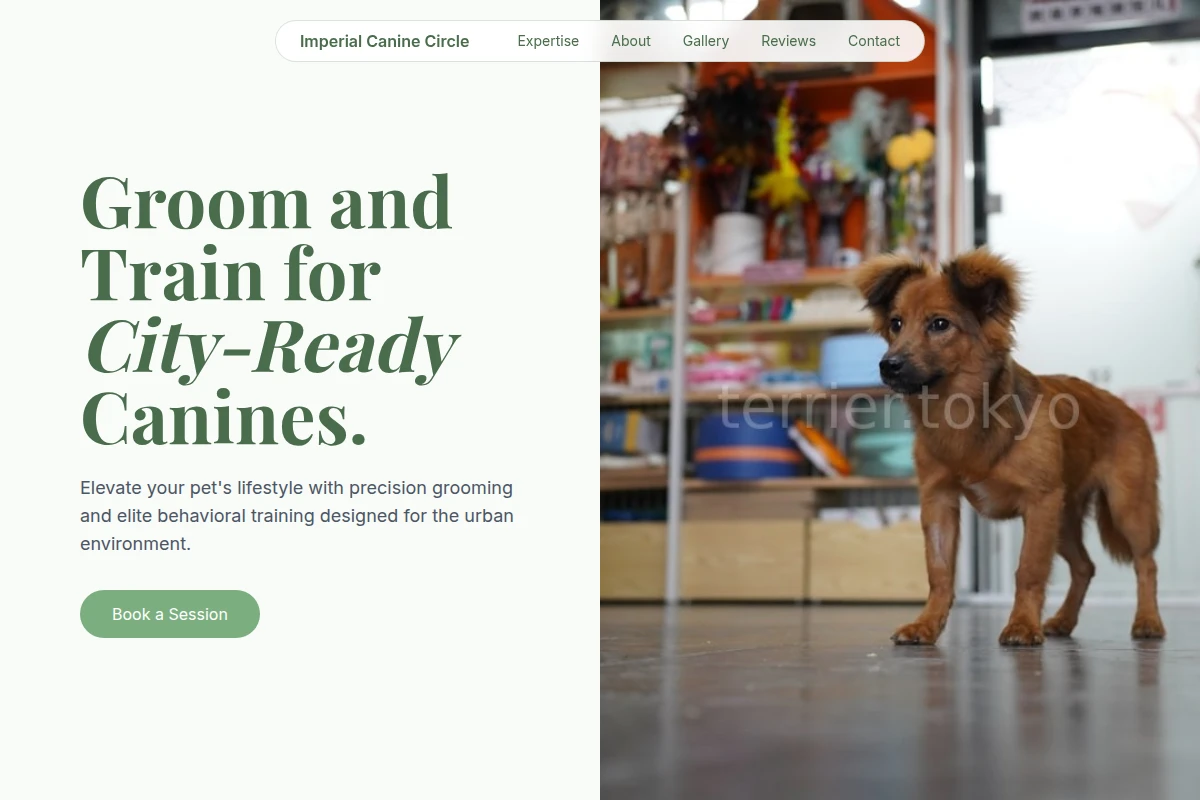 Fetch Pet Shop