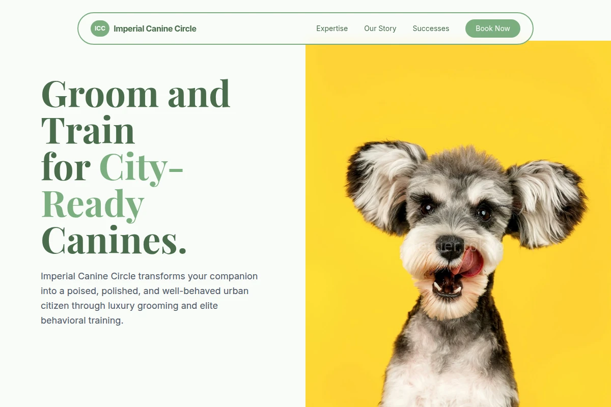 Studio Pet Shop