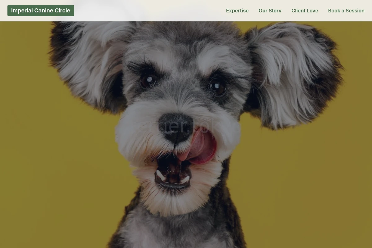 Collar Pet Shop