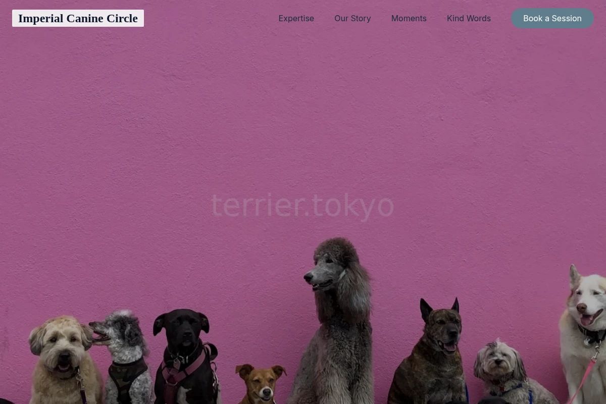 Grooming Pet Shop
